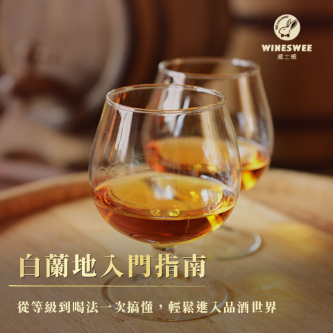 白蘭地入門指南：從等級到喝法一次搞懂，輕鬆進入品酒世界